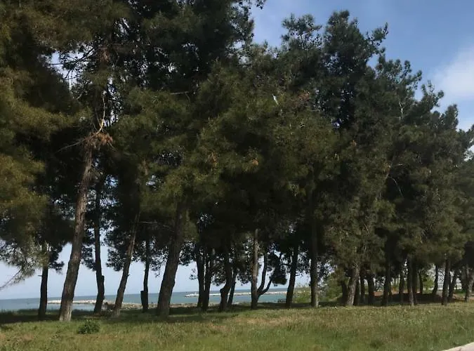 Отель Medousa Skala Alykis
